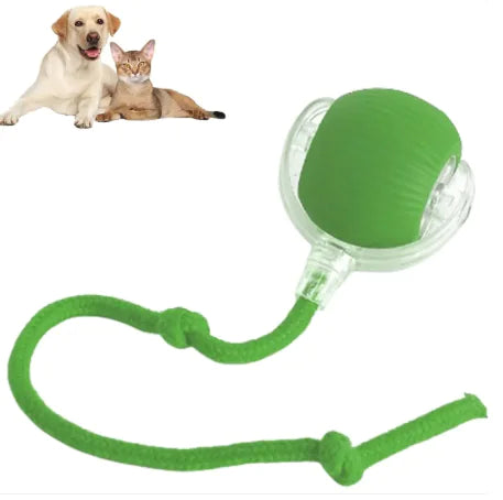 Smart Rolling Pet Ball