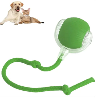 Smart Rolling Pet Ball