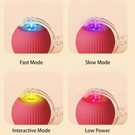 Smart Rolling Pet Ball