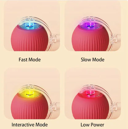 Smart Rolling Pet Ball