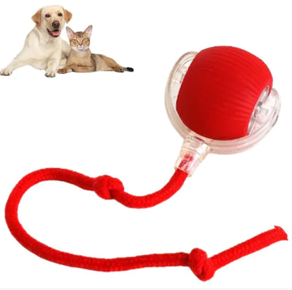 Smart Rolling Pet Ball