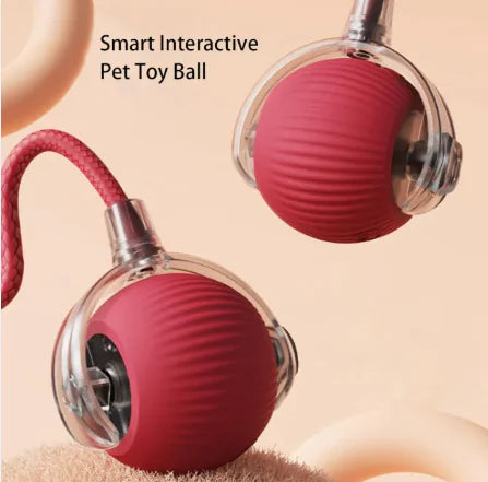 Smart Rolling Pet Ball
