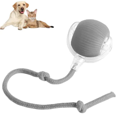 Smart Rolling Pet Ball